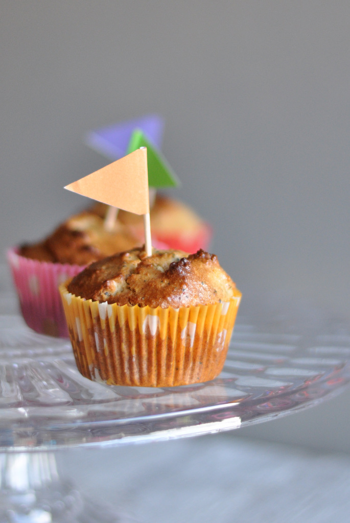 Lemon poppyseed paleo muffins